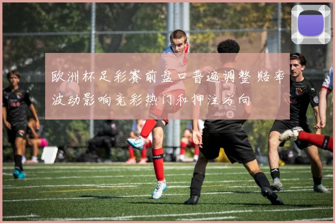 欧洲杯足彩赛前盘口普遍调整 赔率波动影响竞彩热门和押注方向