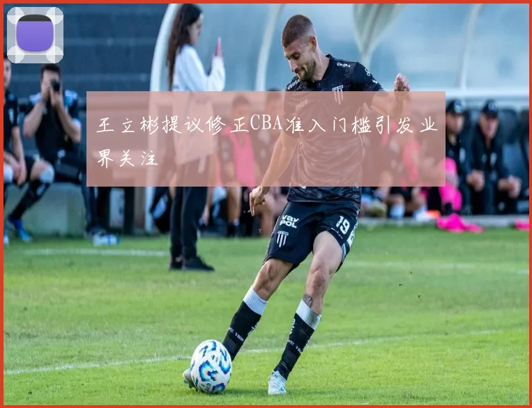 王立彬提议修正CBA准入门槛引发业界关注