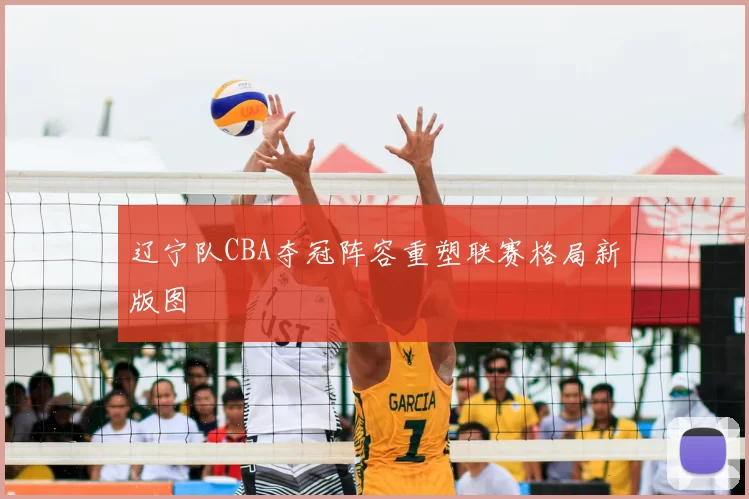 辽宁队CBA夺冠阵容重塑联赛格局新版图