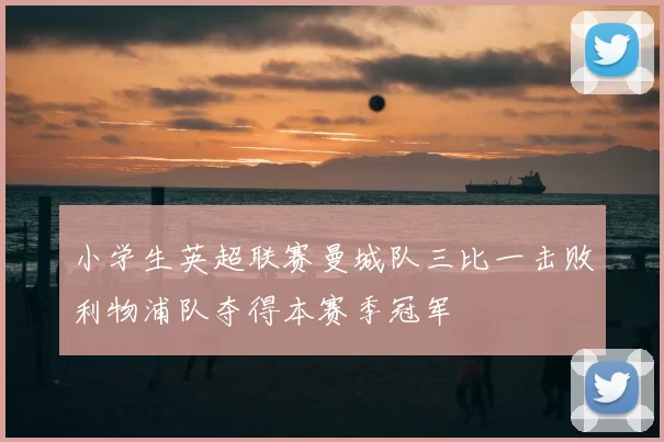 小学生英超联赛曼城队三比一击败利物浦队夺得本赛季冠军