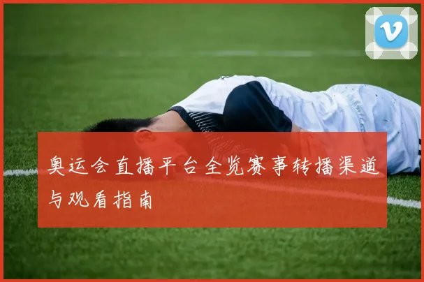 奥运会直播平台全览赛事转播渠道与观看指南