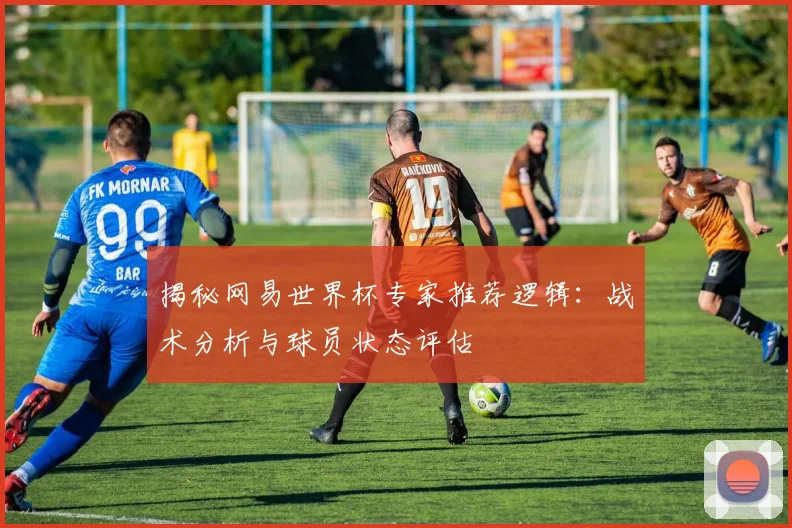 揭秘网易世界杯专家推荐逻辑：战术分析与球员状态评估