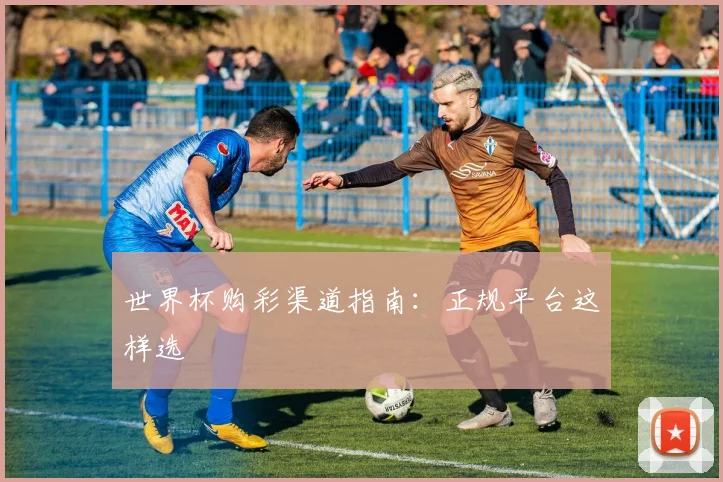 世界杯购彩渠道指南：正规平台这样选